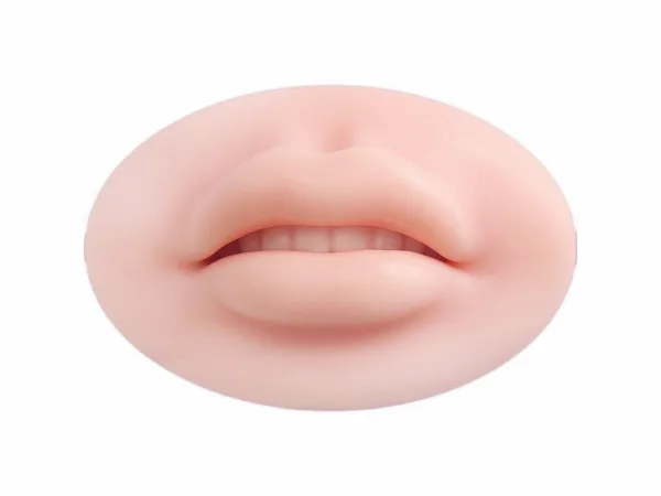 실리콘 실사 입 모형
